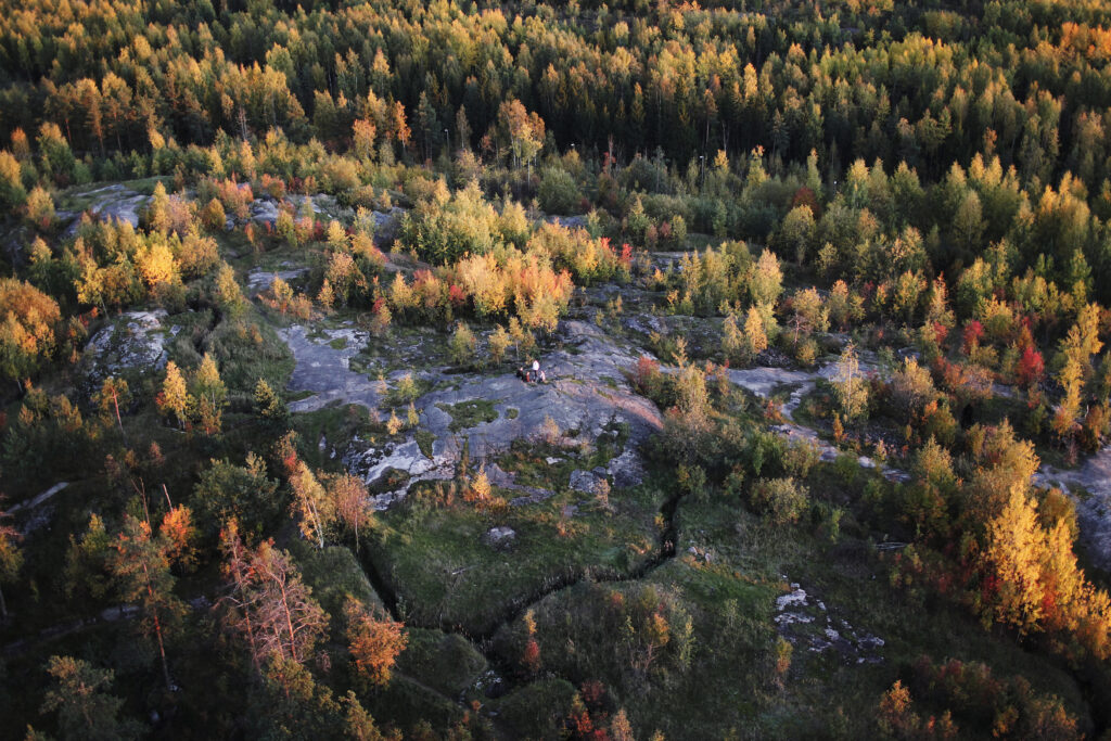 Ilmakuva metsästä.